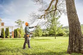 Leaf Removal in Taylor Lake Village, TX